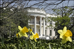 Nader at White House at Noon Today .